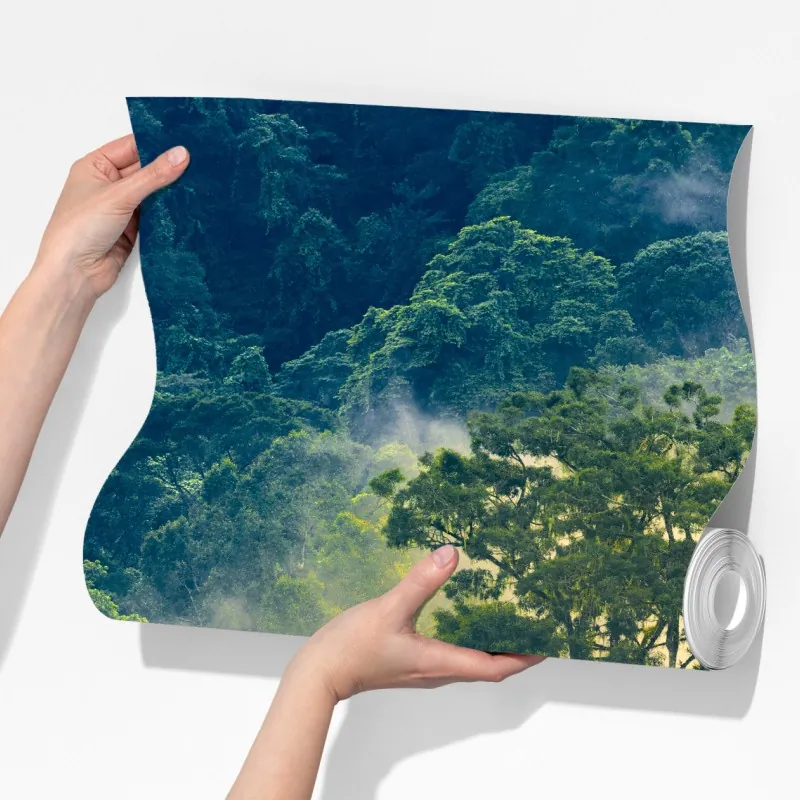 Fototapeta mglisty las deszczowy z koronami drzew – Wallissimo® Fototapeta mglisty las deszczowy z koronami drzew – Wallissimo®