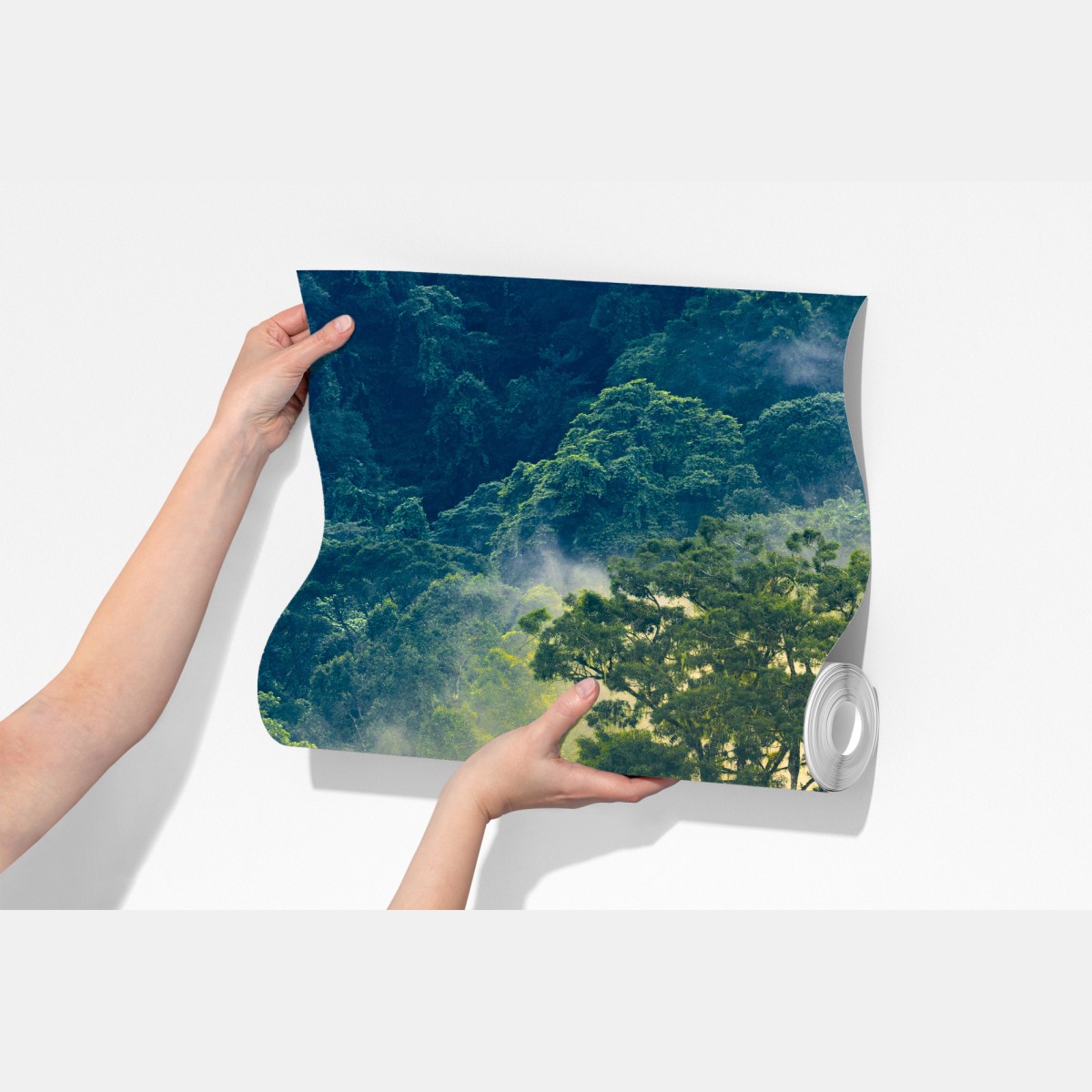 Fototapeta mglisty las deszczowy z koronami drzew – Wallissimo® Fototapeta mglisty las deszczowy z koronami drzew – Wallissimo®