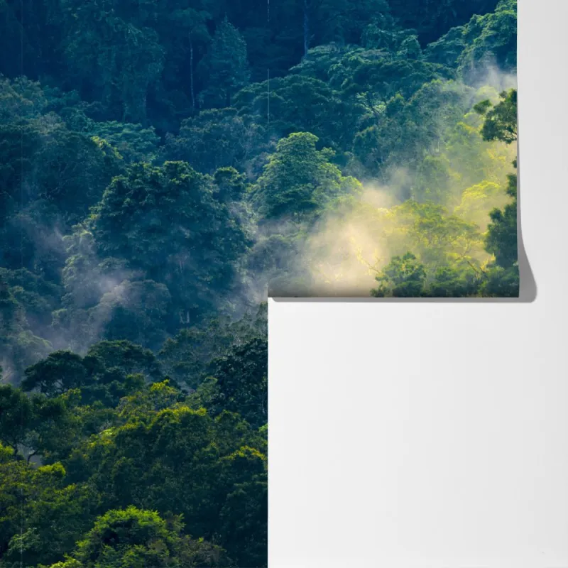 Fototapeta mglisty las deszczowy z koronami drzew – Wallissimo® Fototapeta mglisty las deszczowy z koronami drzew – Wallissimo®