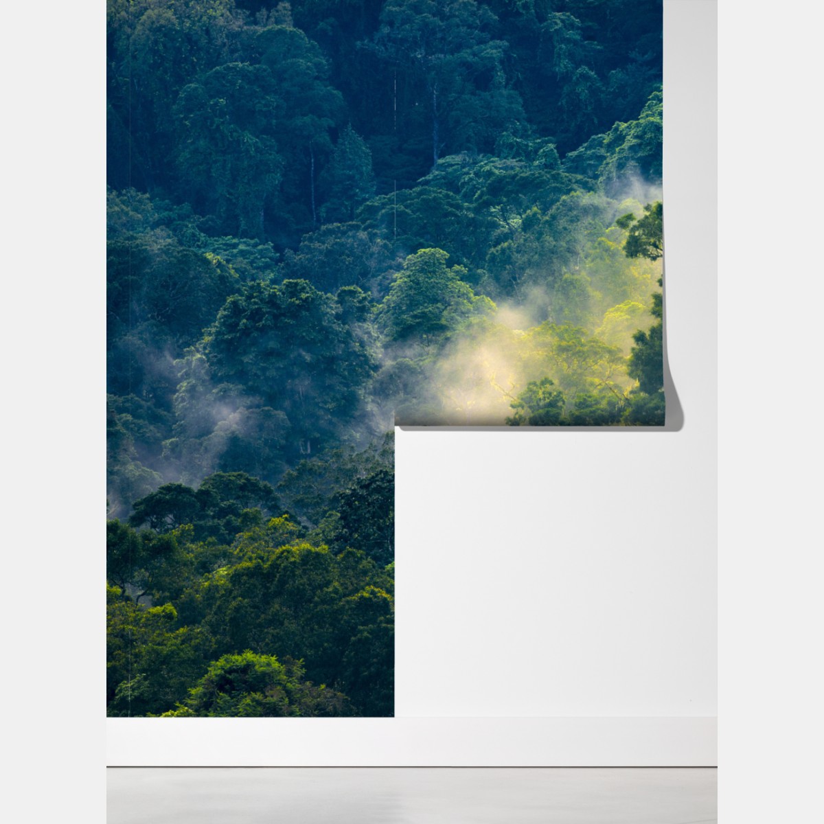 Fototapeta mglisty las deszczowy z koronami drzew – Wallissimo® Fototapeta mglisty las deszczowy z koronami drzew – Wallissimo®