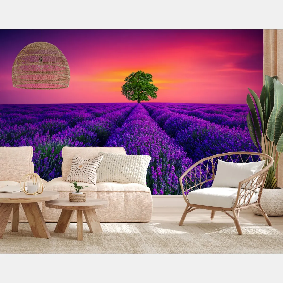 Fototapeta pole lawendy o zachodzie słońca z samotnym drzewem – Wallissimo® Fototapeta pole lawendy o zachodzie słońca z samotnym drzewem – Wallissimo®