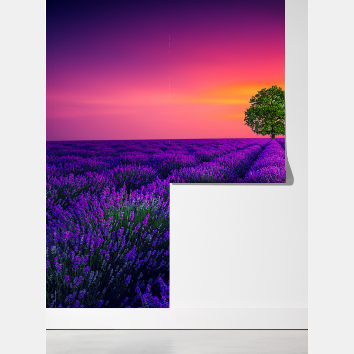 Fototapeta pole lawendy o zachodzie słońca z samotnym drzewem – Wallissimo® Fototapeta pole lawendy o zachodzie słońca z samotnym drzewem – Wallissimo®