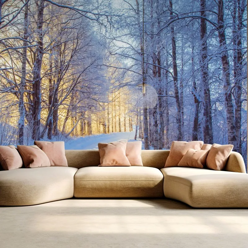 Fototapeta zimowy las brzozowy ze złotym świtem