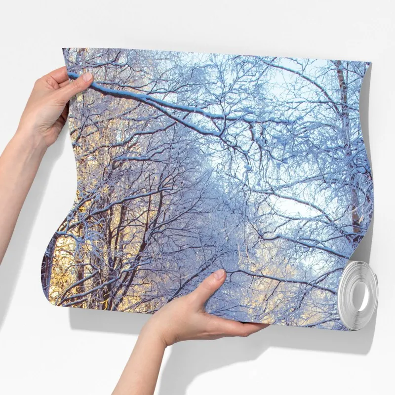 Fototapeta zimowy las brzozowy ze złotym świtem – Wallissimo® Fototapeta zimowy las brzozowy ze złotym świtem – Wallissimo®