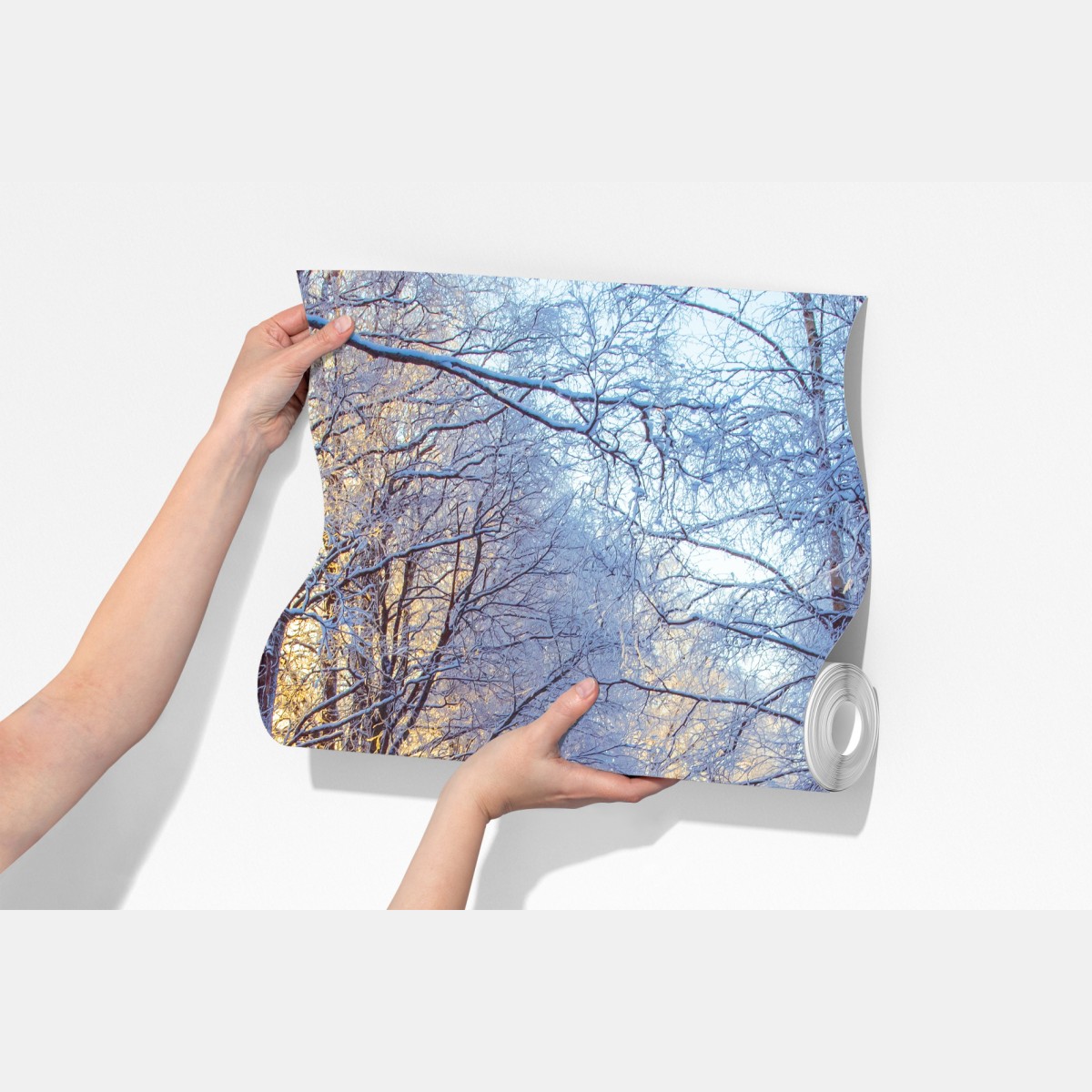 Fototapeta zimowy las brzozowy ze złotym świtem – Wallissimo® Fototapeta zimowy las brzozowy ze złotym świtem – Wallissimo®