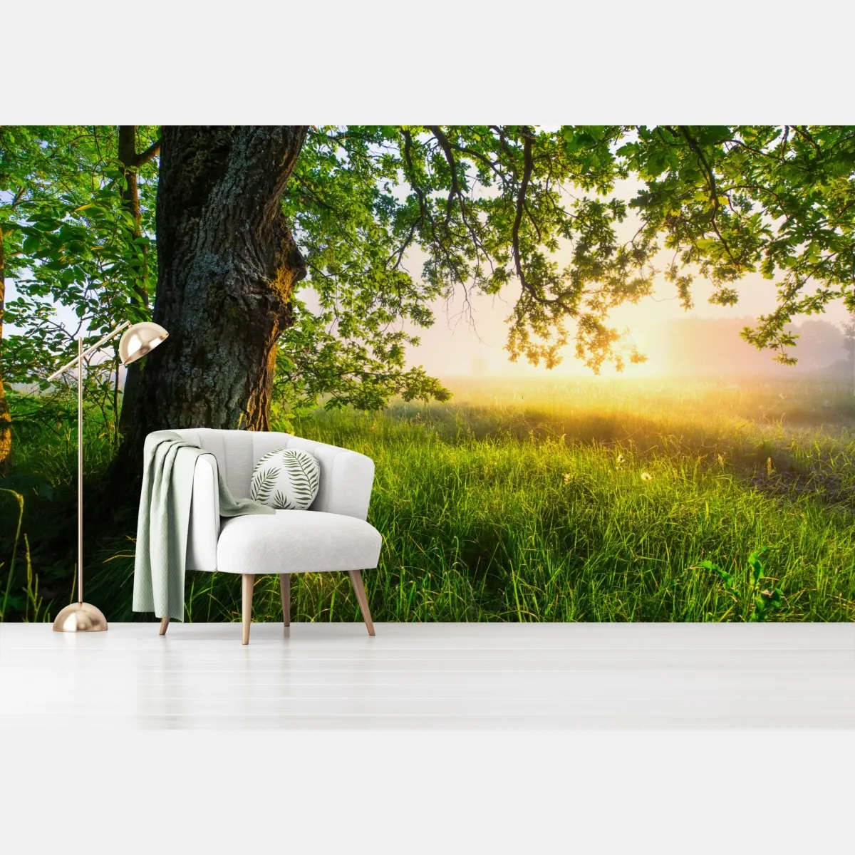 Fototapeta poranny dąb na rozświetlonej łące – Wallissimo® Fototapeta poranny dąb na rozświetlonej łące – Wallissimo®