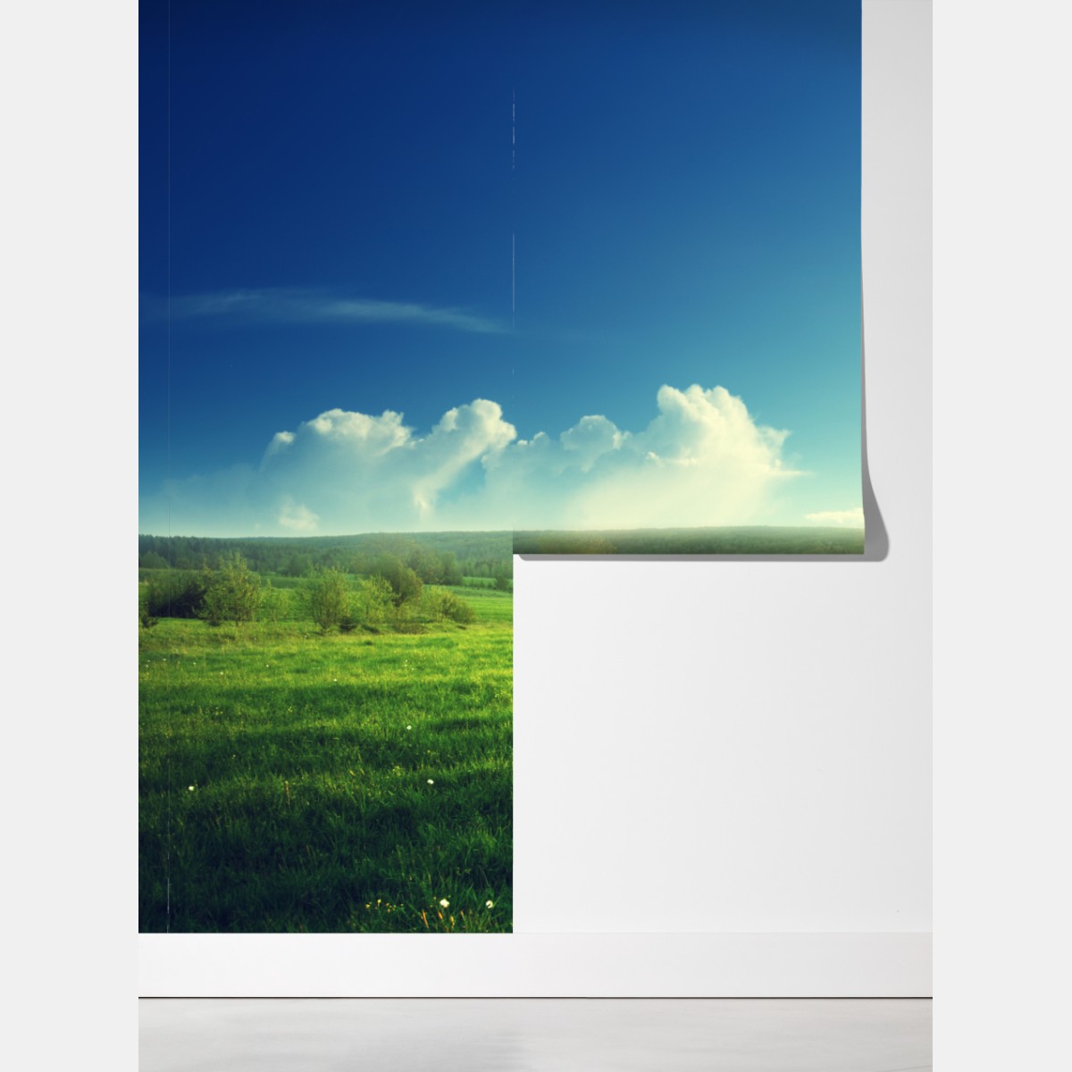 Fototapeta słoneczna wiosenna łąka o zachodzie słońca – Wallissimo® Fototapeta słoneczna wiosenna łąka o zachodzie słońca – Wallissimo®