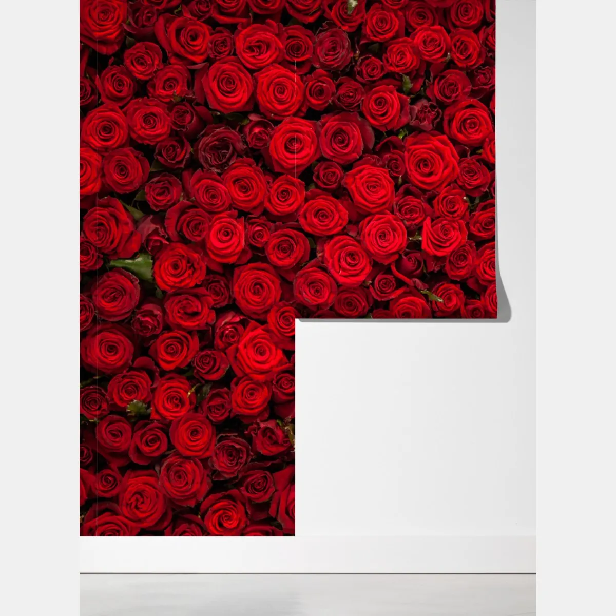 Fototapeta nieskończona ściana czerwonych róż – Wallissimo® Fototapeta nieskończona ściana czerwonych róż – Wallissimo®