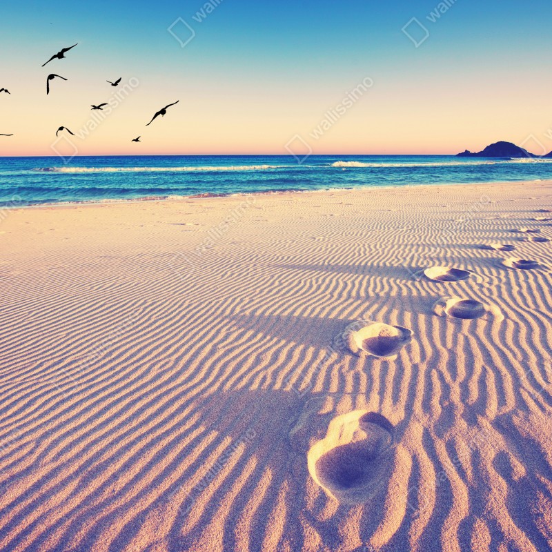 Fototapeta magiczne odciski na letniej plaży – Wallissimo® Fototapeta magiczne odciski na letniej plaży – Wallissimo®