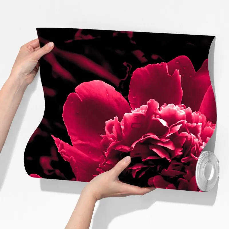 Fototapeta nastrojowe różowe piwonie – Wallissimo® Fototapeta nastrojowe różowe piwonie – Wallissimo®