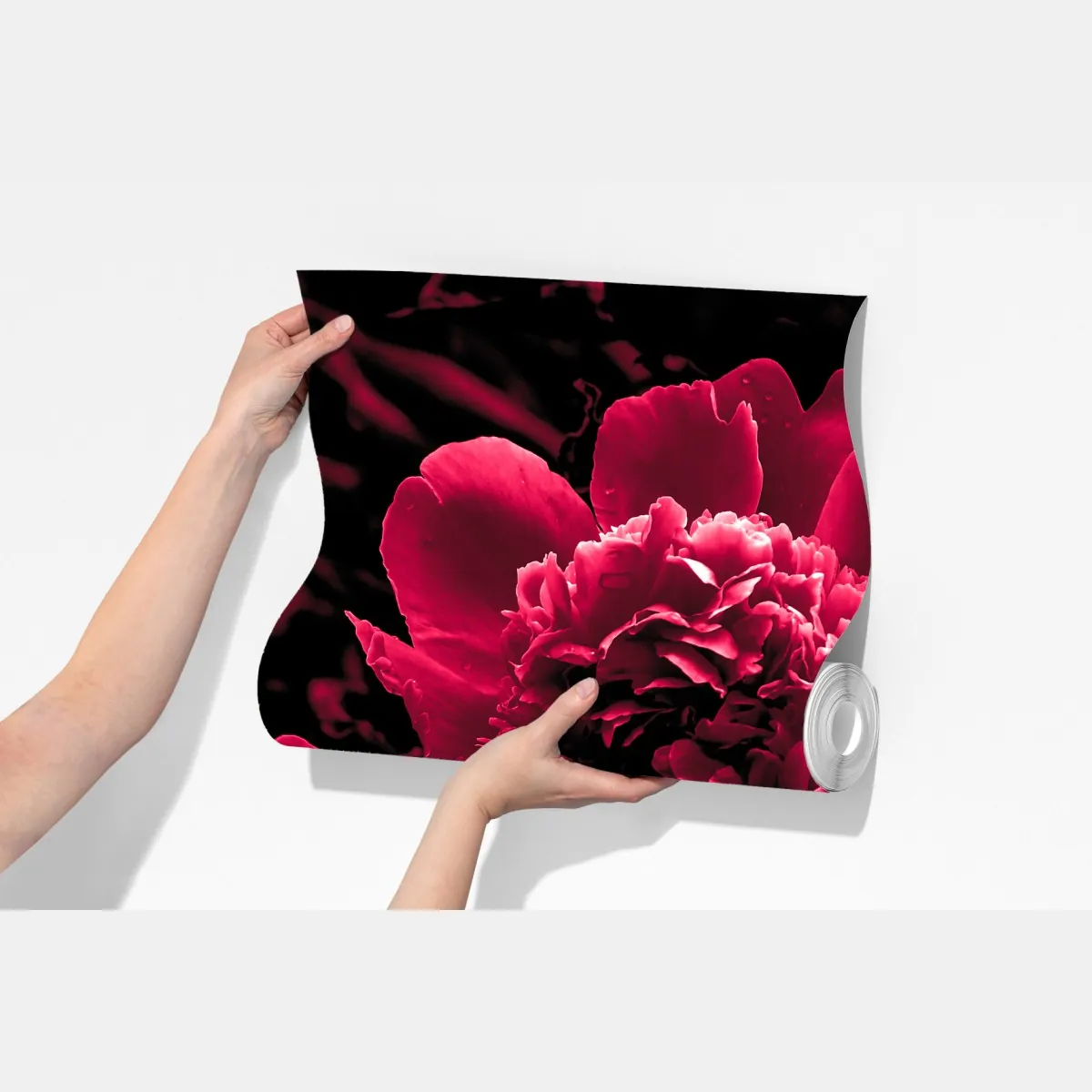 Fototapeta nastrojowe różowe piwonie – Wallissimo® Fototapeta nastrojowe różowe piwonie – Wallissimo®