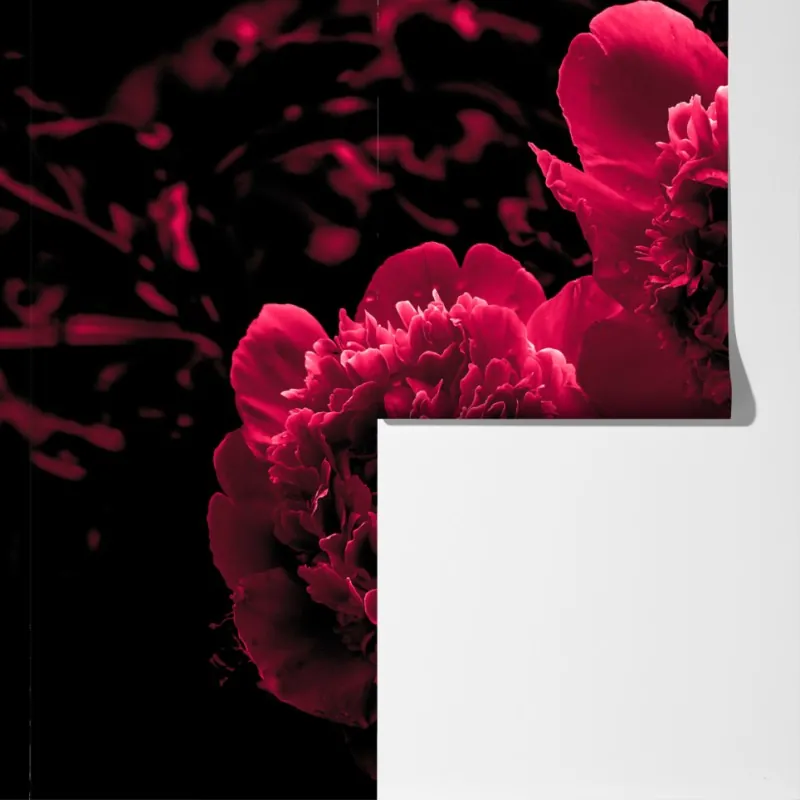 Fototapeta nastrojowe różowe piwonie – Wallissimo® Fototapeta nastrojowe różowe piwonie – Wallissimo®