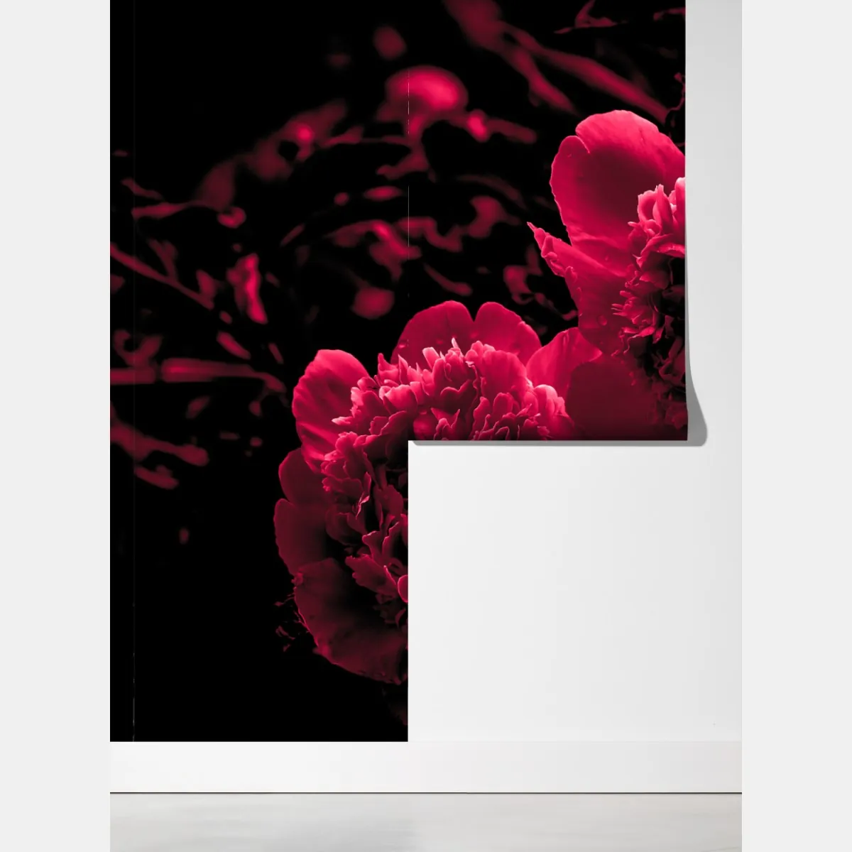 Fototapeta nastrojowe różowe piwonie – Wallissimo® Fototapeta nastrojowe różowe piwonie – Wallissimo®