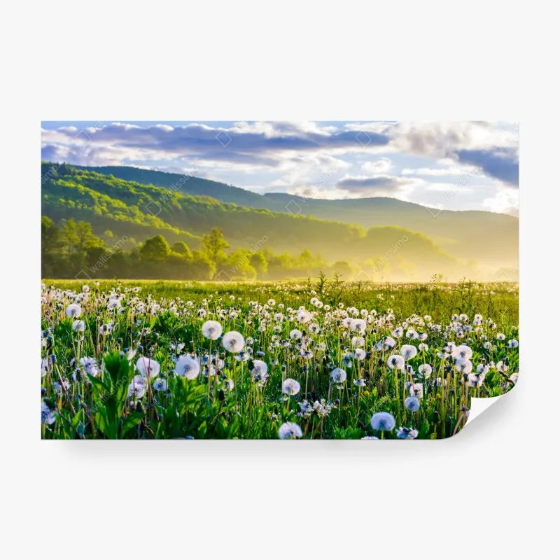 Fototapeta wzór botaniczny liści monstery – Wallissimo®