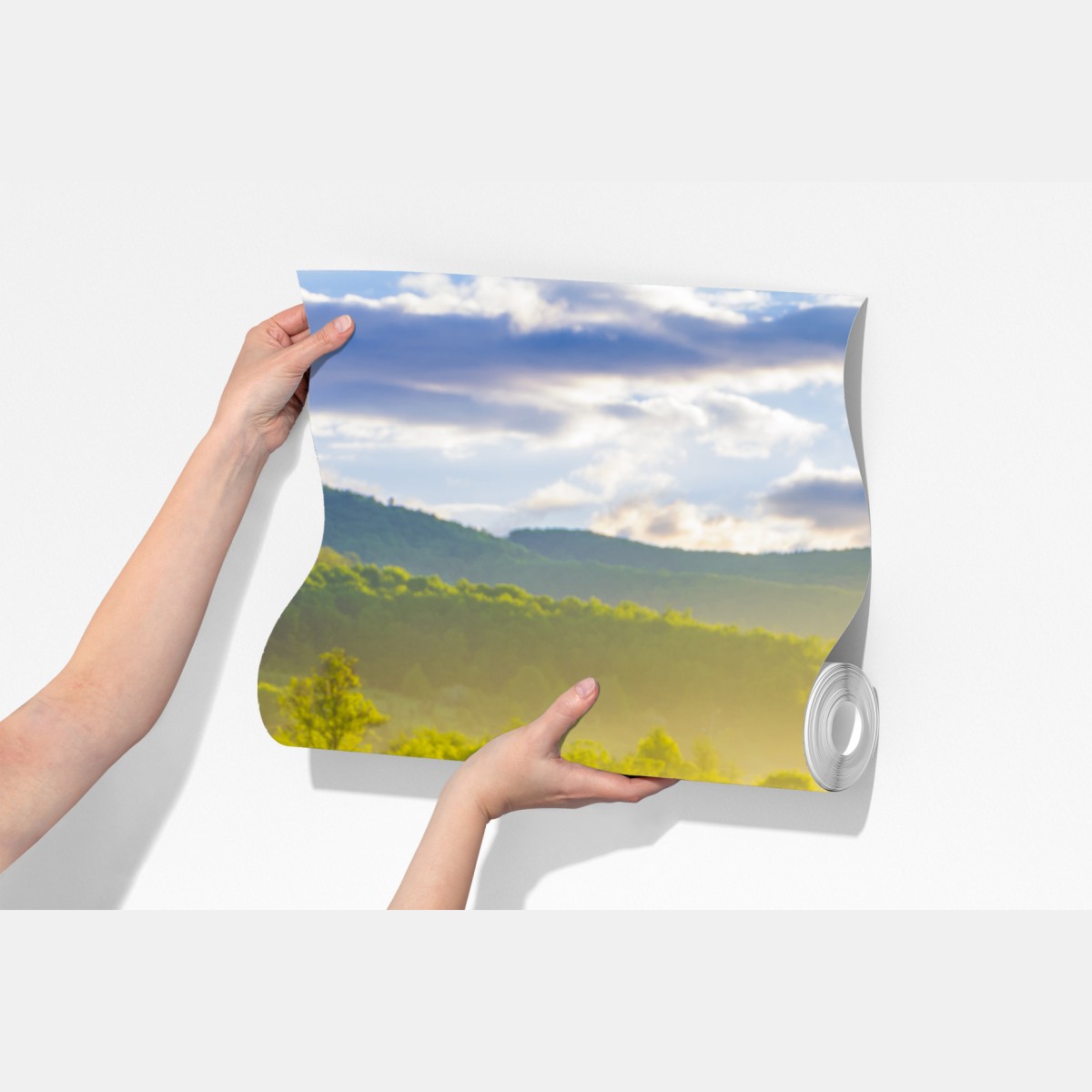 Fototapeta mglista łąka mleczy o wschodzie słońca – Wallissimo® Fototapeta mglista łąka mleczy o wschodzie słońca – Wallissimo®