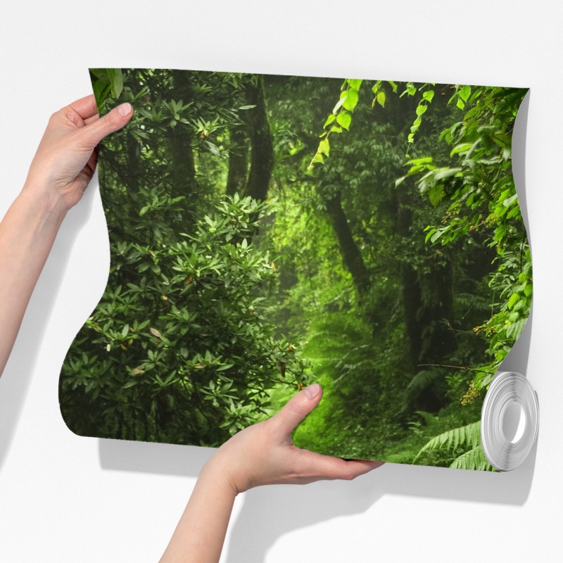 Fototapeta zaczarowana mszysta leśna ścieżka – Wallissimo® Fototapeta zaczarowana mszysta leśna ścieżka – Wallissimo®