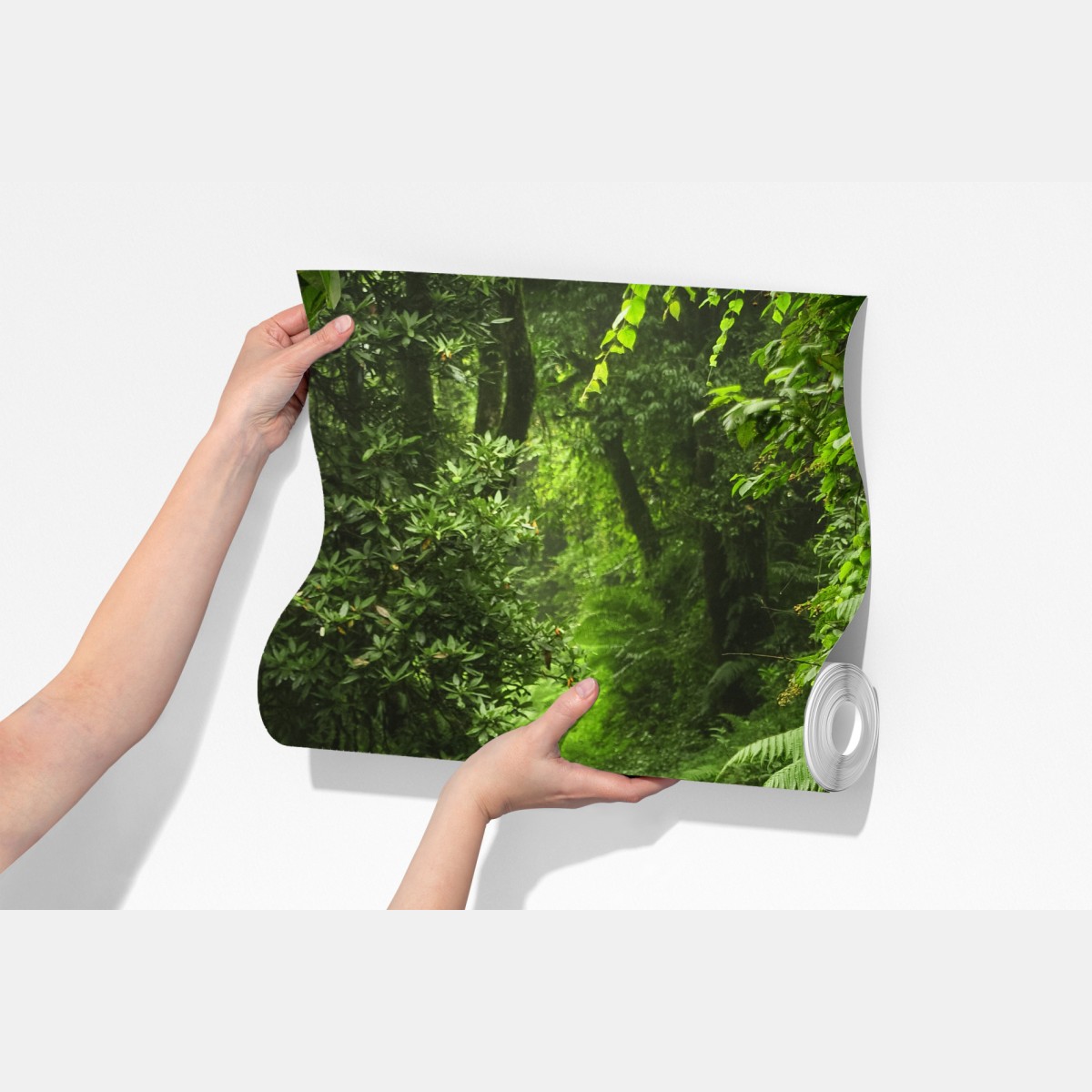 Fototapeta zaczarowana mszysta leśna ścieżka – Wallissimo® Fototapeta zaczarowana mszysta leśna ścieżka – Wallissimo®