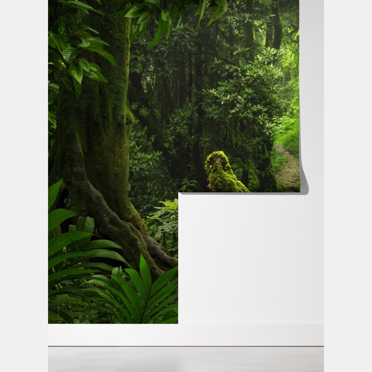 Fototapeta zaczarowana mszysta leśna ścieżka – Wallissimo® Fototapeta zaczarowana mszysta leśna ścieżka – Wallissimo®