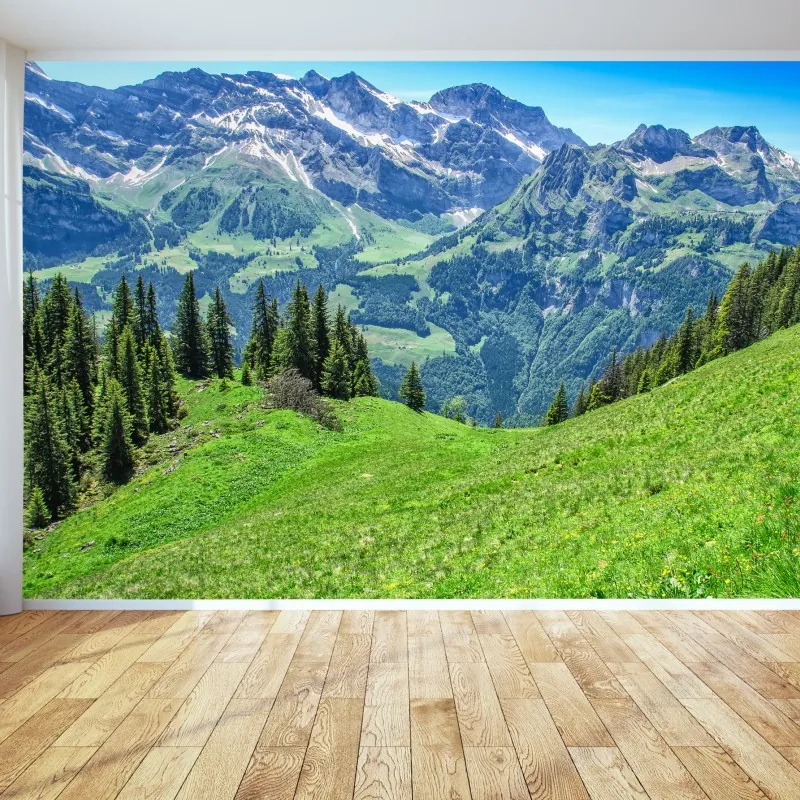 Fototapeta alpejska panorama Engelberg, Szwajcaria