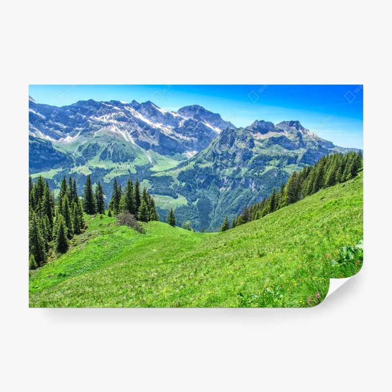 Fototapeta alpejska panorama Engelberg, Szwajcaria