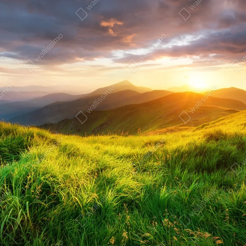 Fototapeta słoneczna górska łąka o wschodzie słońca – Wallissimo® Fototapeta słoneczna górska łąka o wschodzie słońca – Wallissimo®