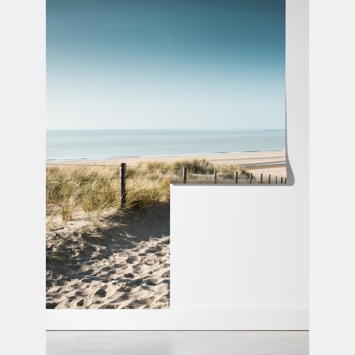 Fototapeta wydmy i spokojne morze przy Noordwijk – Wallissimo® Fototapeta wydmy i spokojne morze przy Noordwijk – Wallissimo®