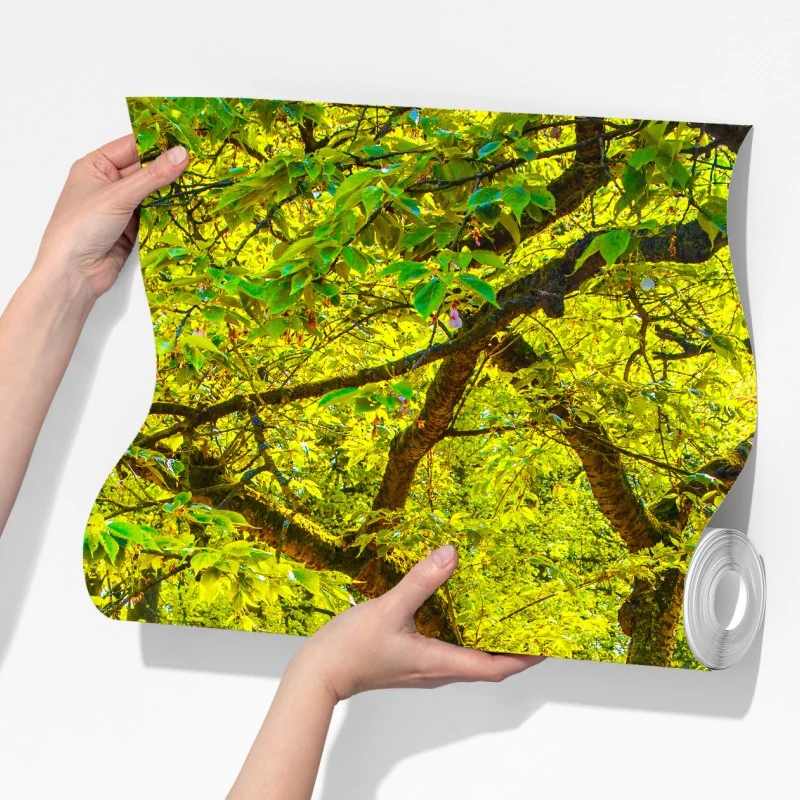 Fototapeta barwny ogród tulipanów w Keukenhof – Wallissimo® Fototapeta barwny ogród tulipanów w Keukenhof – Wallissimo®