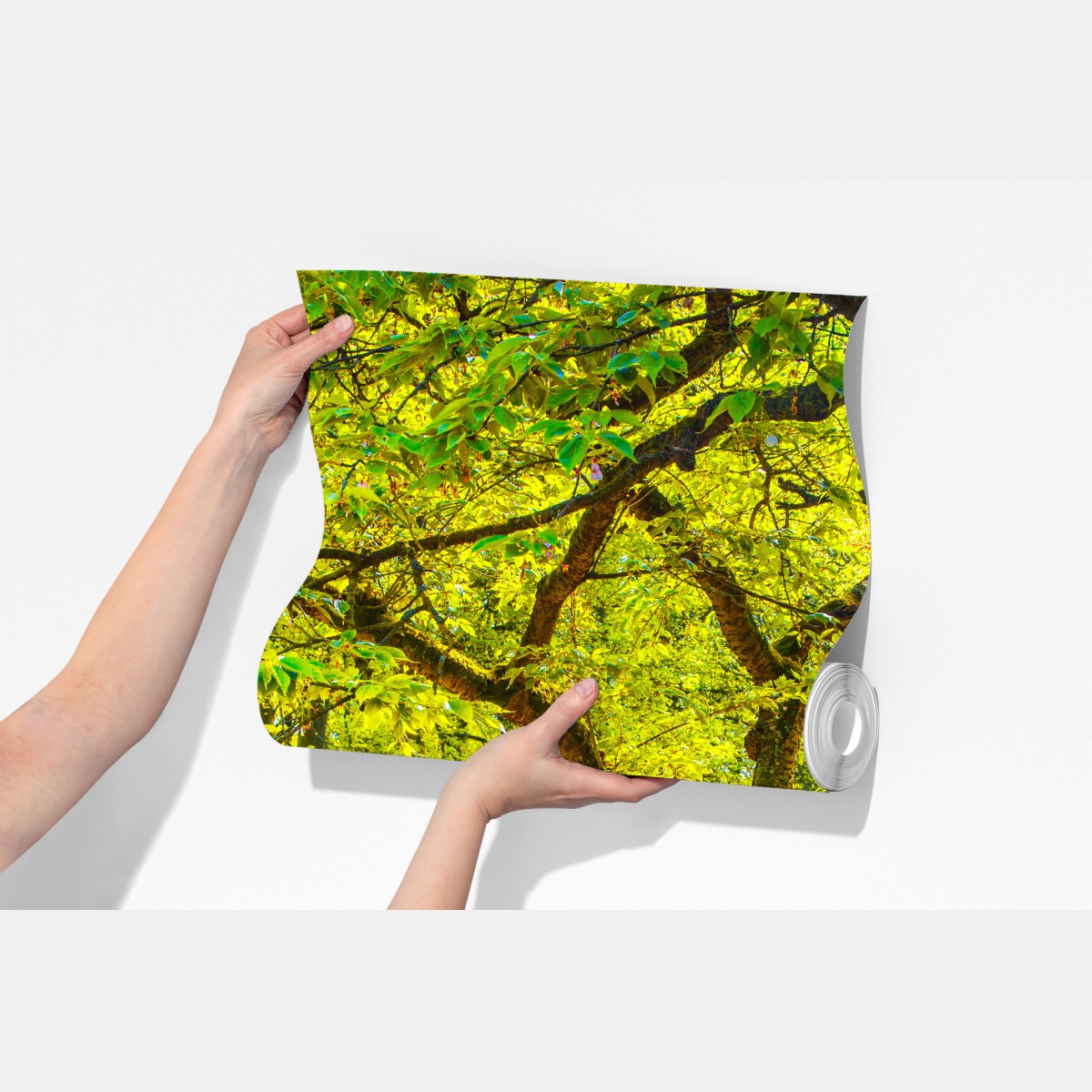 Fototapeta barwny ogród tulipanów w Keukenhof – Wallissimo® Fototapeta barwny ogród tulipanów w Keukenhof – Wallissimo®