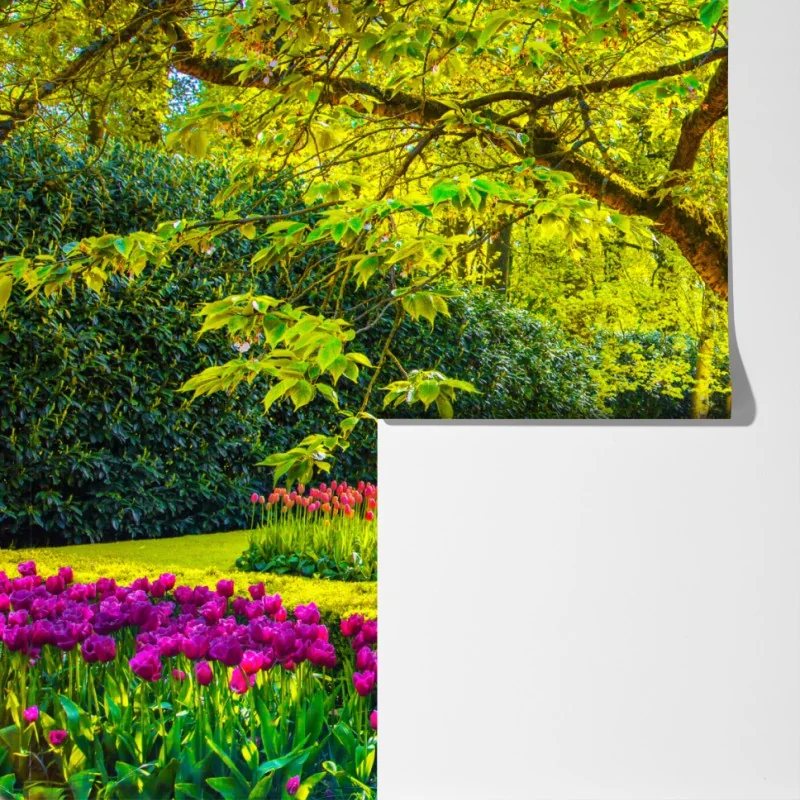 Fototapeta barwny ogród tulipanów w Keukenhof – Wallissimo® Fototapeta barwny ogród tulipanów w Keukenhof – Wallissimo®