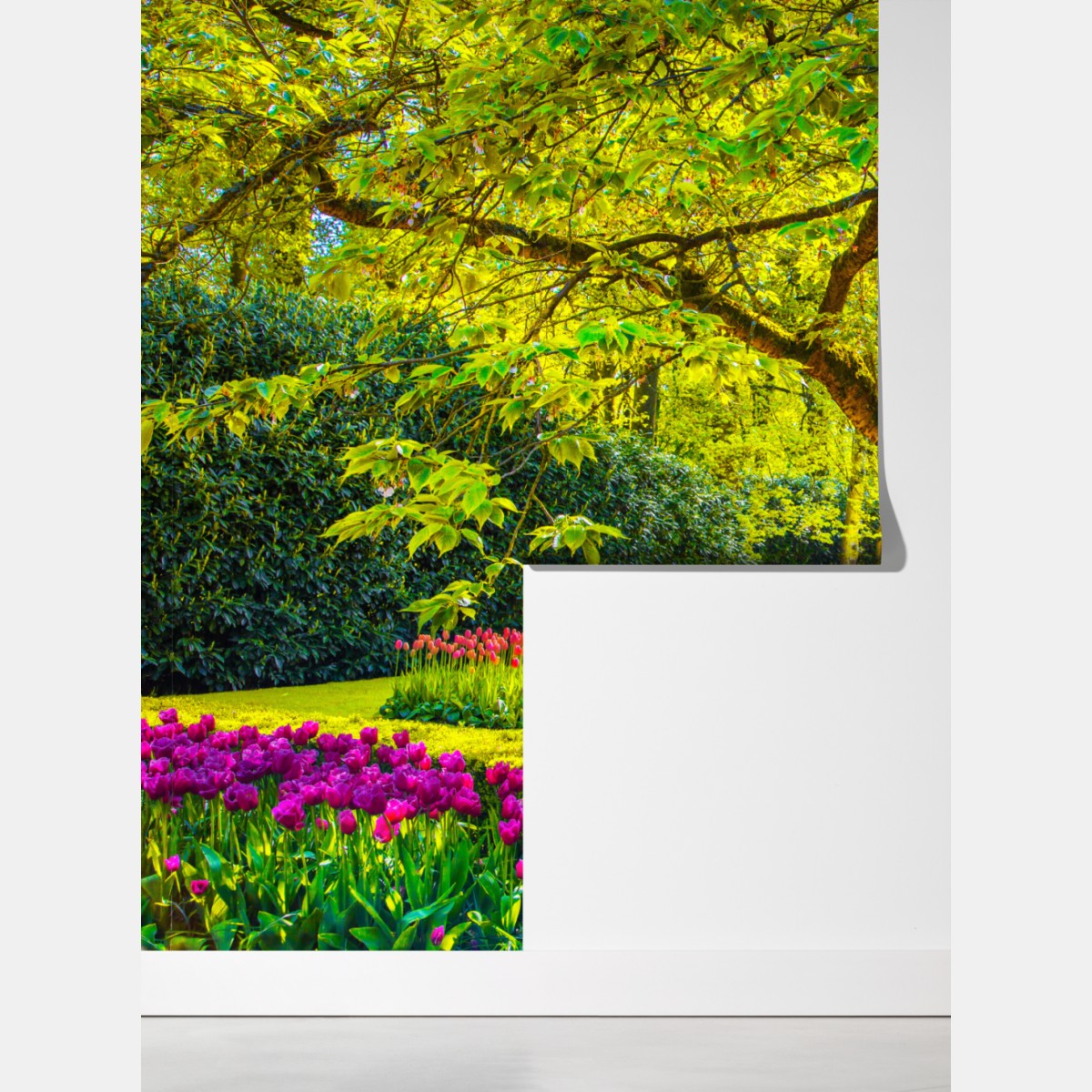 Fototapeta barwny ogród tulipanów w Keukenhof – Wallissimo® Fototapeta barwny ogród tulipanów w Keukenhof – Wallissimo®