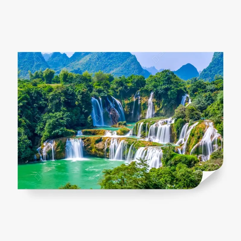 Fototapeta bujna pokrywa lasu deszczowego przy Cairns – Wallissimo®