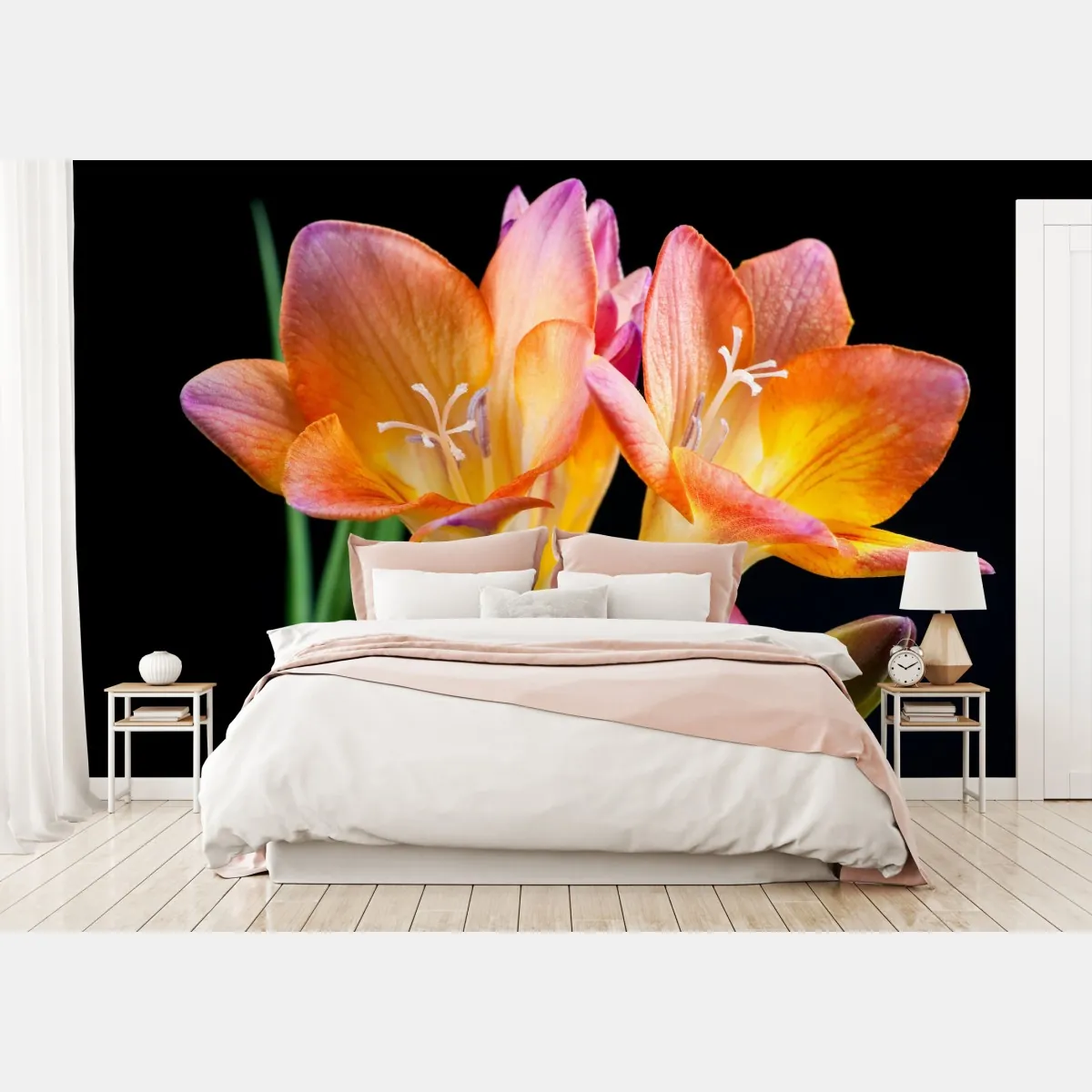 Fototapeta żywe pomarańczowe frezje na czarnym tle – Wallissimo® Fototapeta żywe pomarańczowe frezje na czarnym tle – Wallissimo®