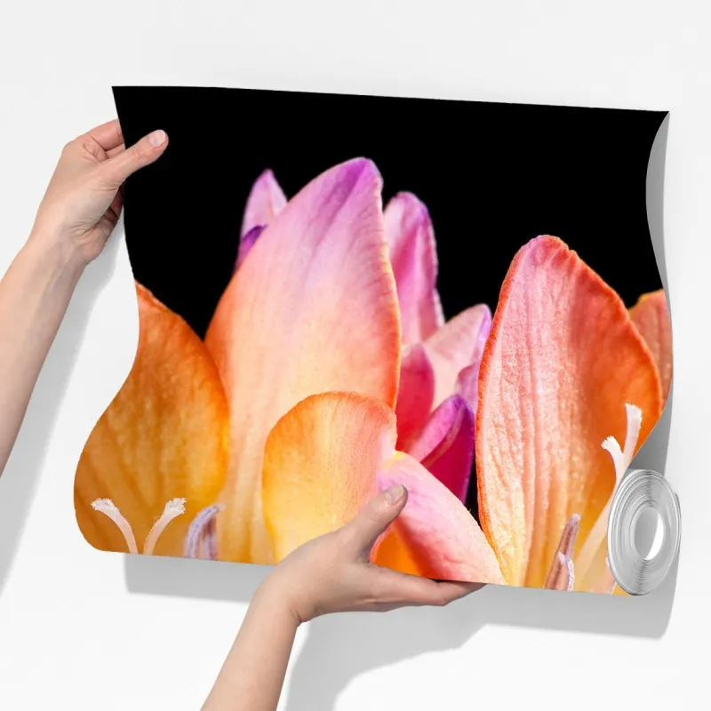 Fototapeta żywe pomarańczowe frezje na czarnym tle – Wallissimo® Fototapeta żywe pomarańczowe frezje na czarnym tle – Wallissimo®