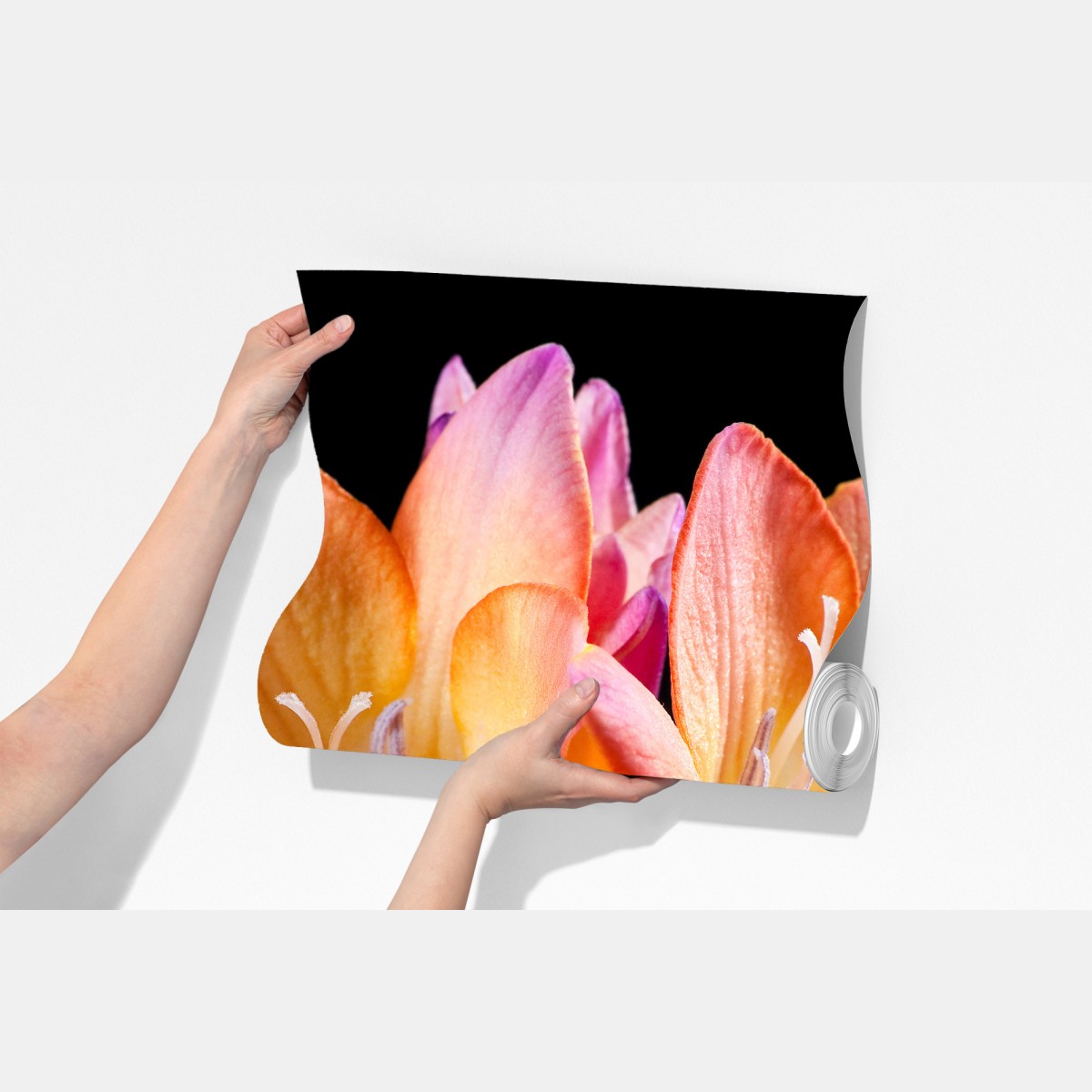 Fototapeta żywe pomarańczowe frezje na czarnym tle – Wallissimo® Fototapeta żywe pomarańczowe frezje na czarnym tle – Wallissimo®