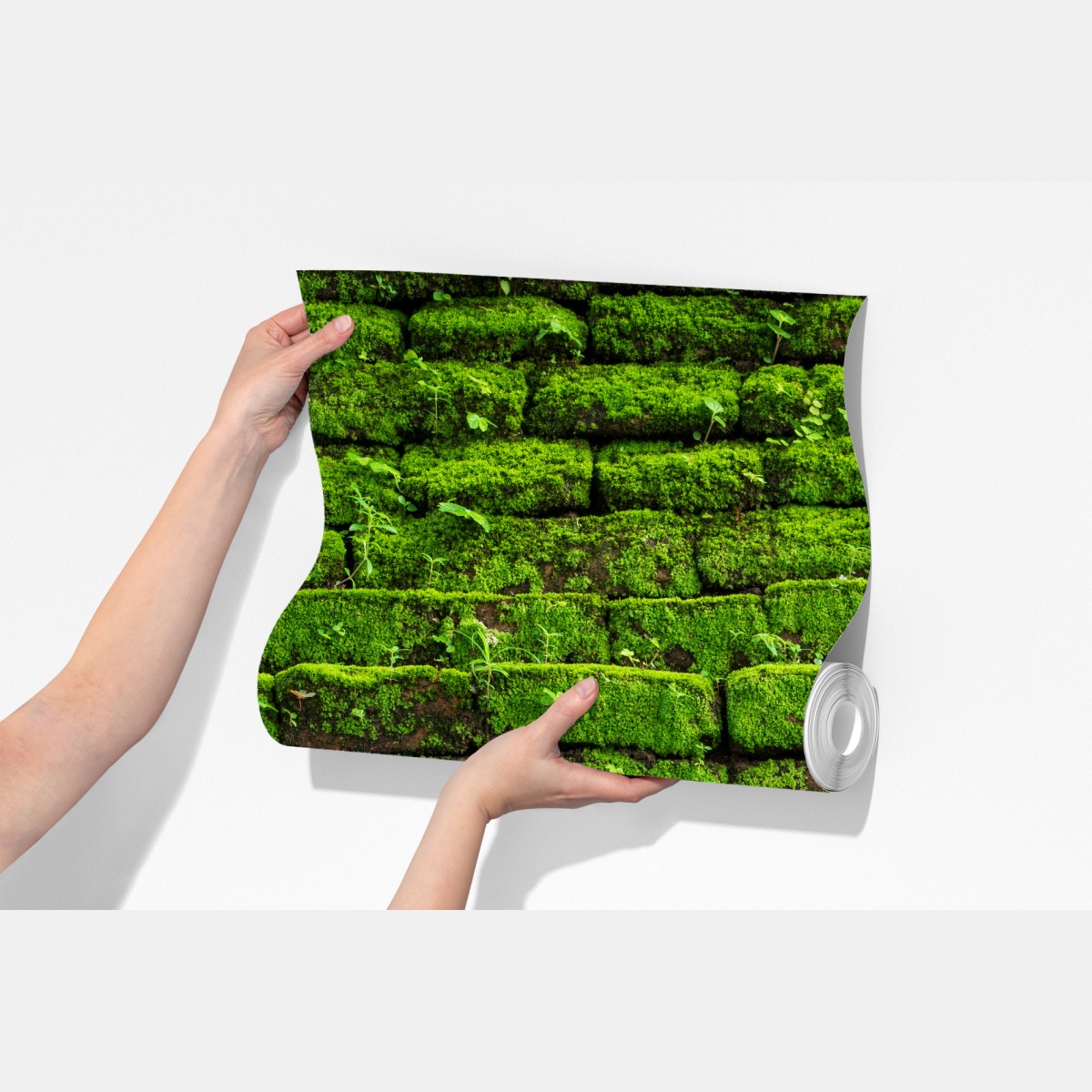 Fototapeta ściana z mchem na ceglanej strukturze – Wallissimo® Fototapeta ściana z mchem na ceglanej strukturze – Wallissimo®