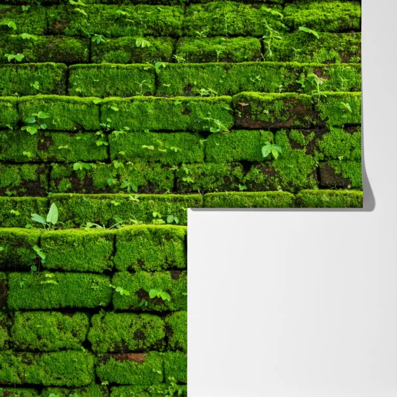 Fototapeta ściana z mchem na ceglanej strukturze – Wallissimo® Fototapeta ściana z mchem na ceglanej strukturze – Wallissimo®