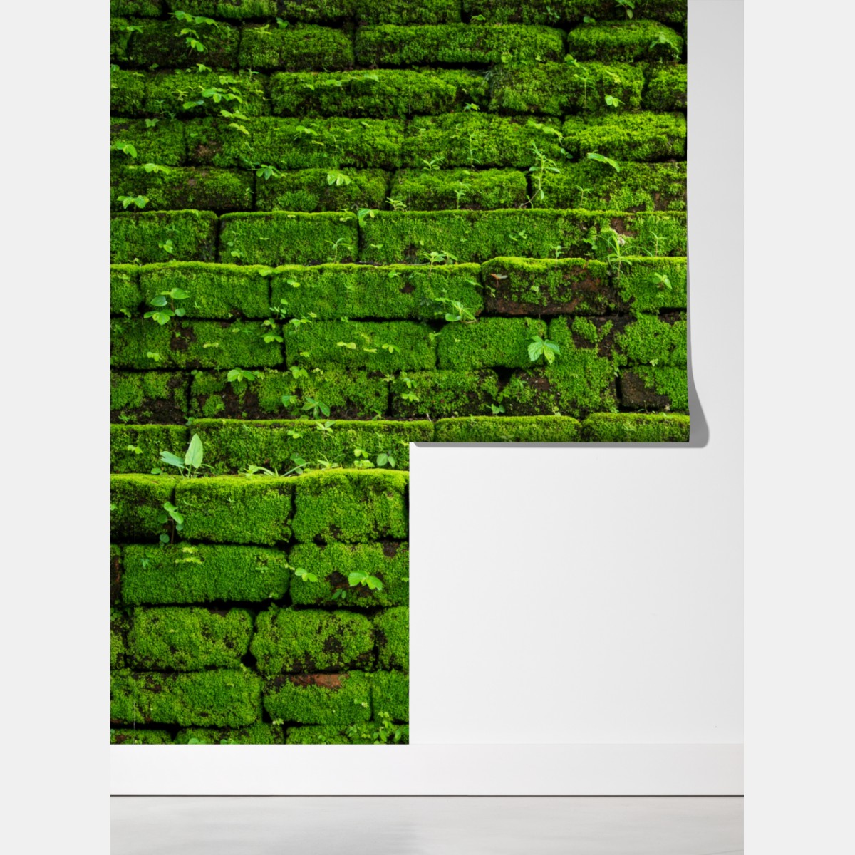 Fototapeta ściana z mchem na ceglanej strukturze – Wallissimo® Fototapeta ściana z mchem na ceglanej strukturze – Wallissimo®