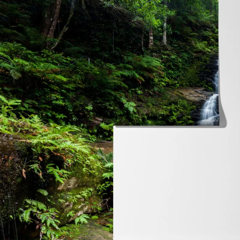 Fototapeta spokojny wodospad w lesie – Wallissimo® Fototapeta spokojny wodospad w lesie – Wallissimo®