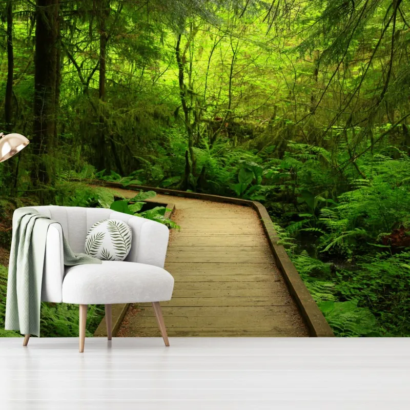 Fototapeta spokojna zielona kładka leśna – Wallissimo® Fototapeta spokojna zielona kładka leśna – Wallissimo®