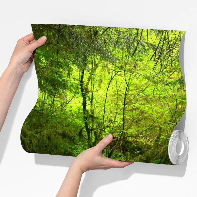 Fototapeta spokojna zielona kładka leśna – Wallissimo® Fototapeta spokojna zielona kładka leśna – Wallissimo®