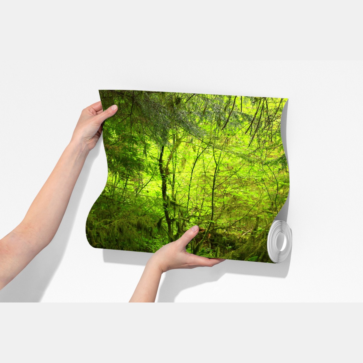 Fototapeta spokojna zielona kładka leśna – Wallissimo® Fototapeta spokojna zielona kładka leśna – Wallissimo®