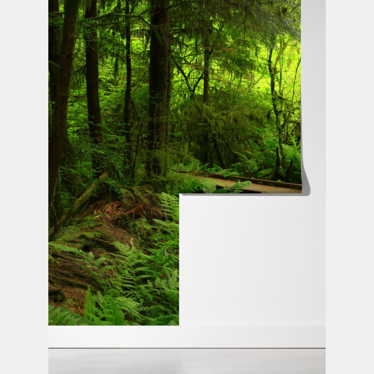 Fototapeta spokojna zielona kładka leśna – Wallissimo® Fototapeta spokojna zielona kładka leśna – Wallissimo®