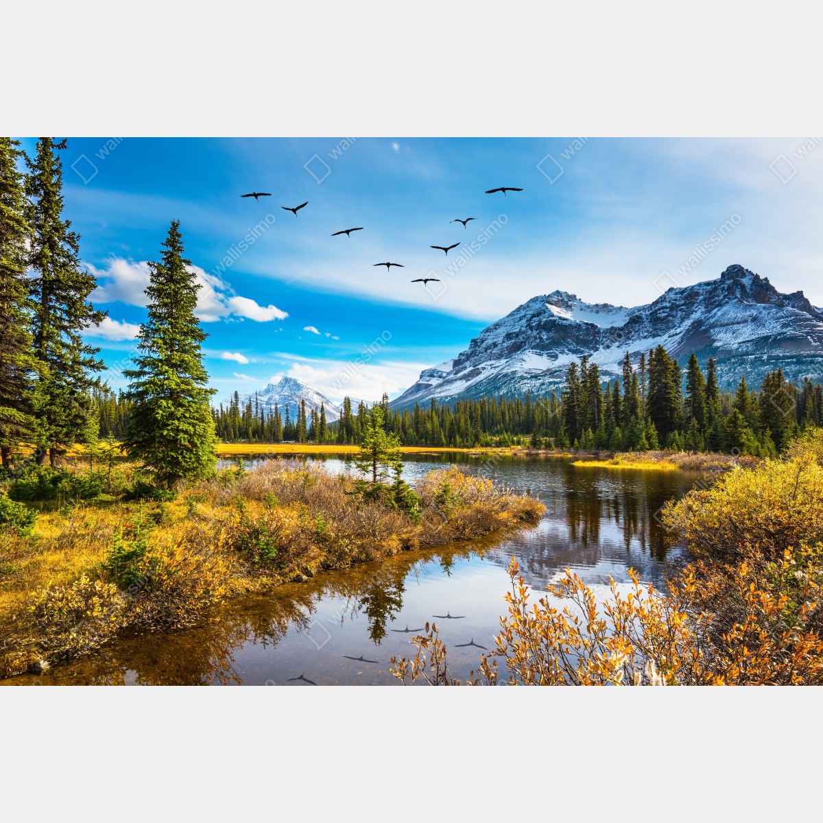 Fototapeta jesienne jezioro górskie z ptakami – Wallissimo® Fototapeta jesienne jezioro górskie z ptakami – Wallissimo®