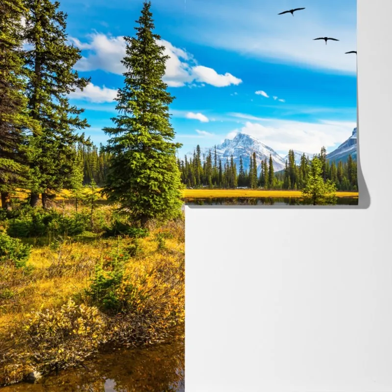 Fototapeta jesienne jezioro górskie z ptakami – Wallissimo® Fototapeta jesienne jezioro górskie z ptakami – Wallissimo®