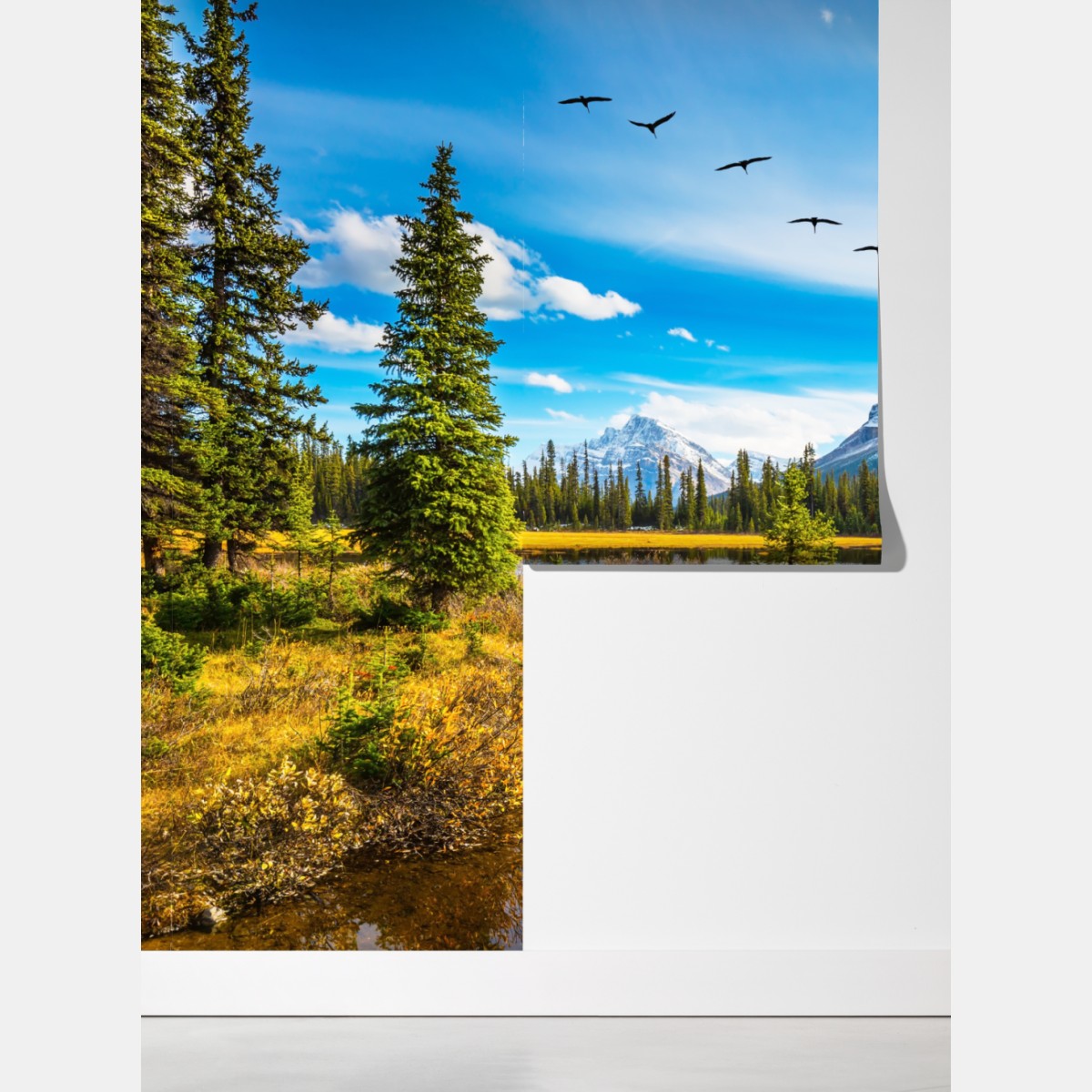 Fototapeta jesienne jezioro górskie z ptakami – Wallissimo® Fototapeta jesienne jezioro górskie z ptakami – Wallissimo®