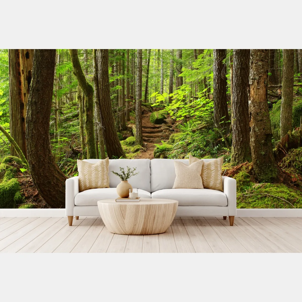 Fototapeta mchowa leśna ścieżka – Wallissimo® Fototapeta mchowa leśna ścieżka – Wallissimo®