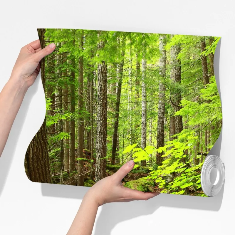 Fototapeta mchowa leśna ścieżka – Wallissimo® Fototapeta mchowa leśna ścieżka – Wallissimo®