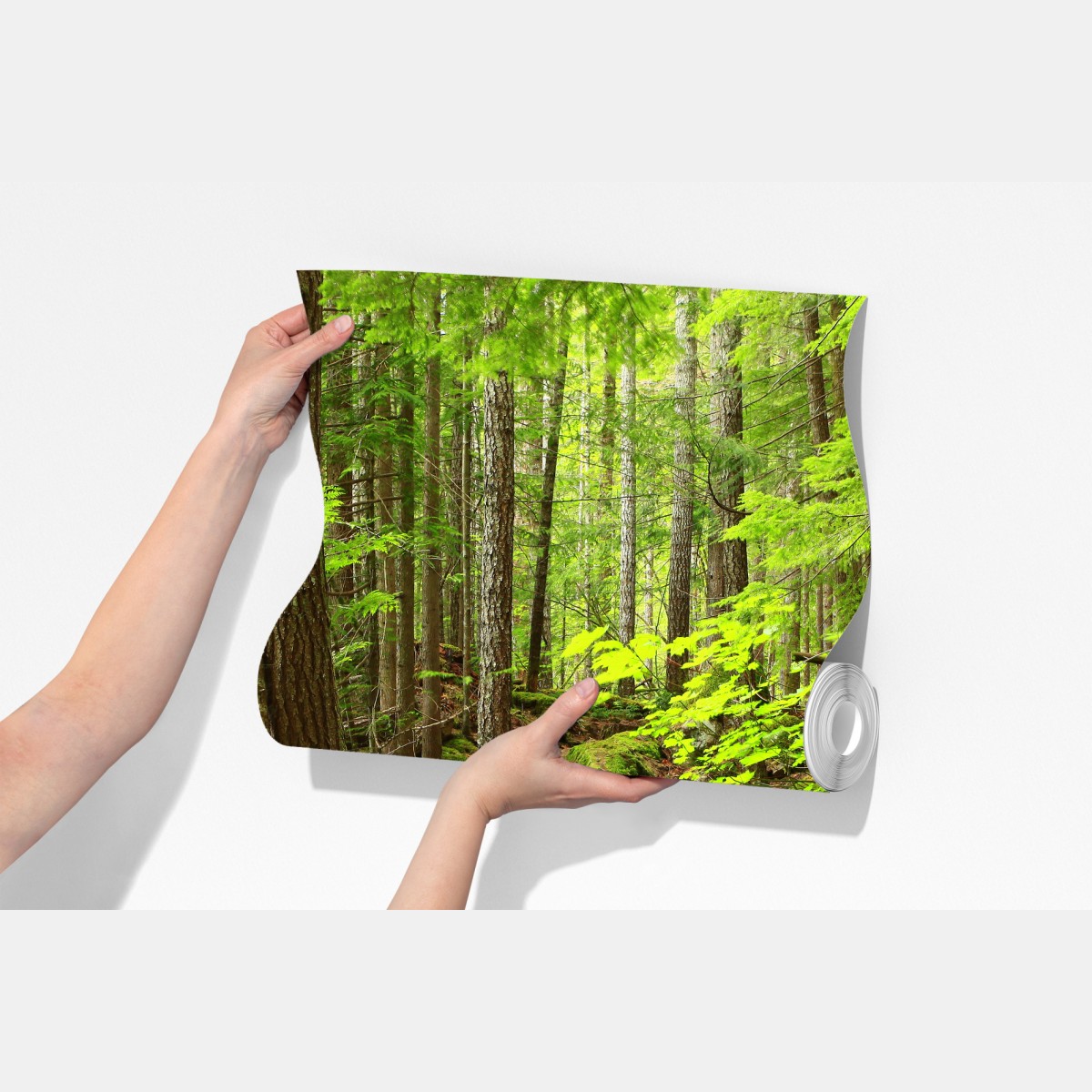 Fototapeta mchowa leśna ścieżka – Wallissimo® Fototapeta mchowa leśna ścieżka – Wallissimo®