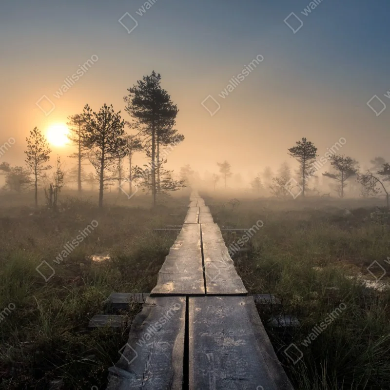 Fototapeta mglisty wschód słońca nad drewnianą kładką – Wallissimo® Fototapeta mglisty wschód słońca nad drewnianą kładką – Wallissimo®