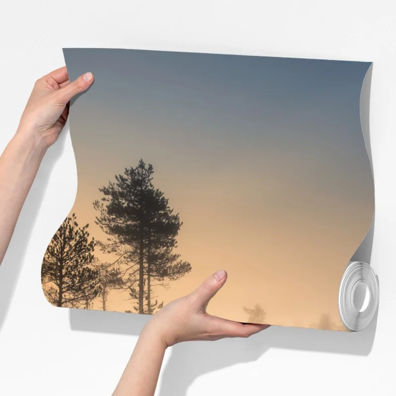 Fototapeta mglisty wschód słońca nad drewnianą kładką – Wallissimo® Fototapeta mglisty wschód słońca nad drewnianą kładką – Wallissimo®